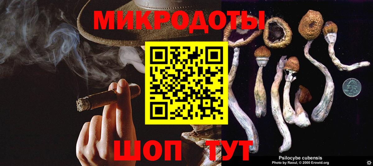 Удомля  Галлюциногенные грибы Cubensis  Галлюциногенные грибы MAGIC MUSHROOMS  Вход с VPN 